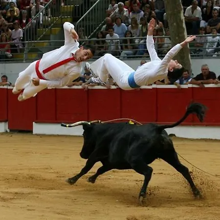 Casa Koko 10 Pers Piscine Chauffee, Petanque, Ping Pong Vieux-boucau Vieux-Boucau-les-Bains