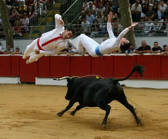 Casa Koko 10 Pers Piscine Chauffee, Petanque, Ping Pong Vieux-boucau Vieux-Boucau-les-Bains